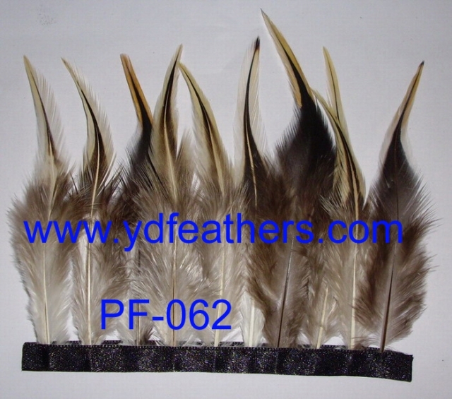 PF-062(Golden Badger Rooster/Coque/Cock Saddles Feather Fringe/Trimming)