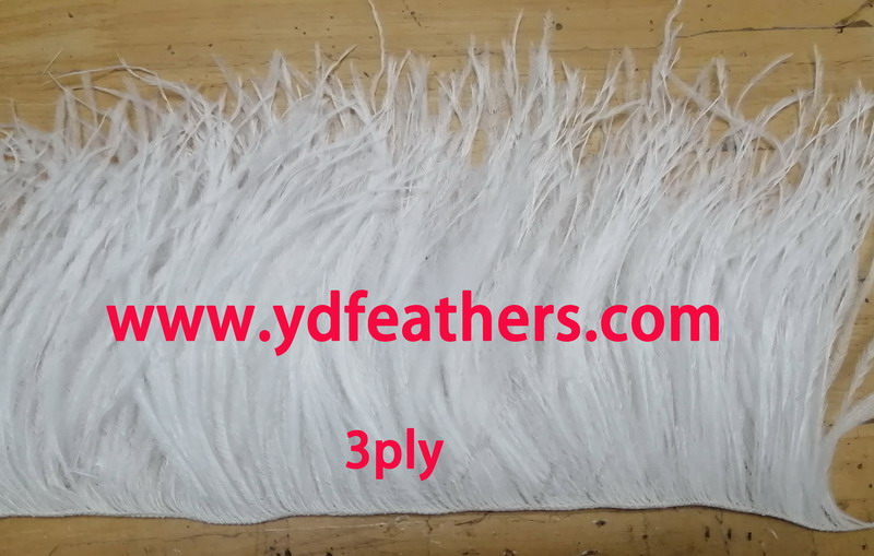 3Ply Ostrich Feather Fringe/Trim Sewn On Cord