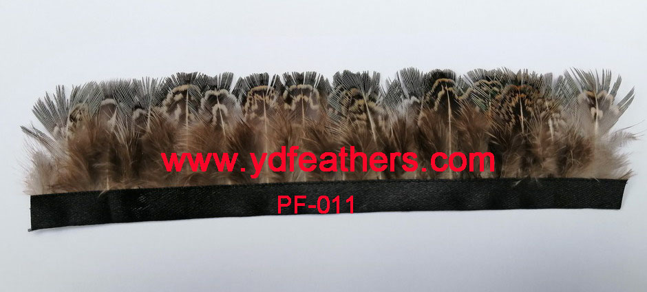 PF-011(Ringneck pheasant body feather/trimming)