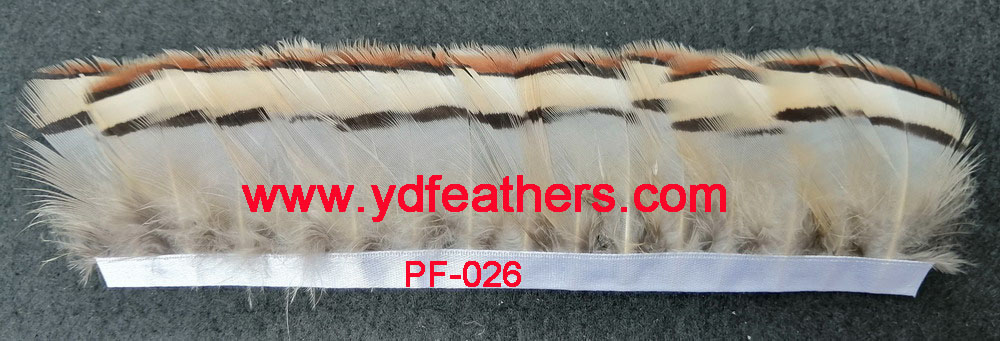 PF-026(Partridge feather fringe)