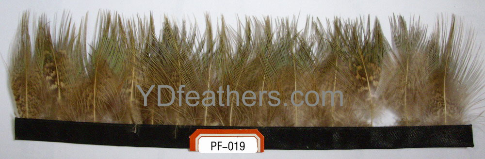 PF-019(Ringneck pheasant body feather fringe/trimming)
