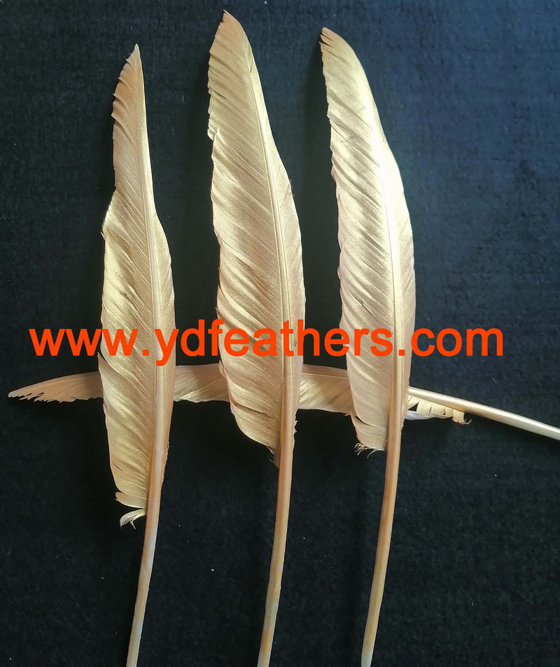 Spray gold paint for goose wings