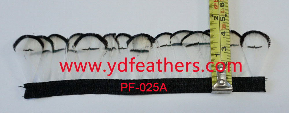 PF-025A(lady amhurst pheasant head feather fringe)
